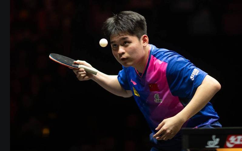 日本队绝杀瑞典队，王皓点燃赛场