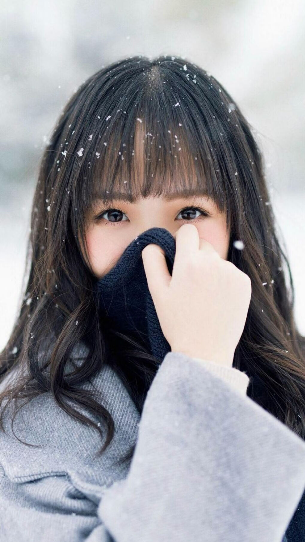 双城记,快船强势破局,字母哥聚焦证明