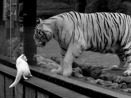 铁血对抗与高效爆发,季后赛前夜的攻防启示录