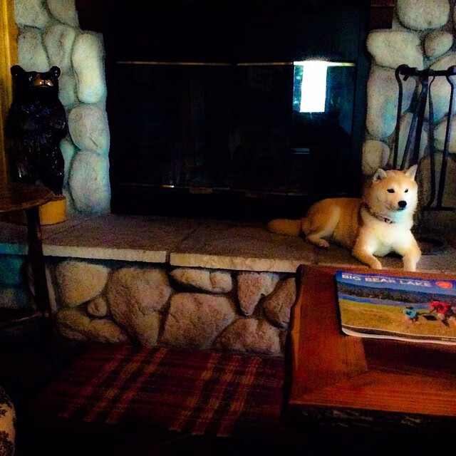 绿茵交响诗,梅西以巴黎为琴,奏响压制那不勒斯的永恒强音