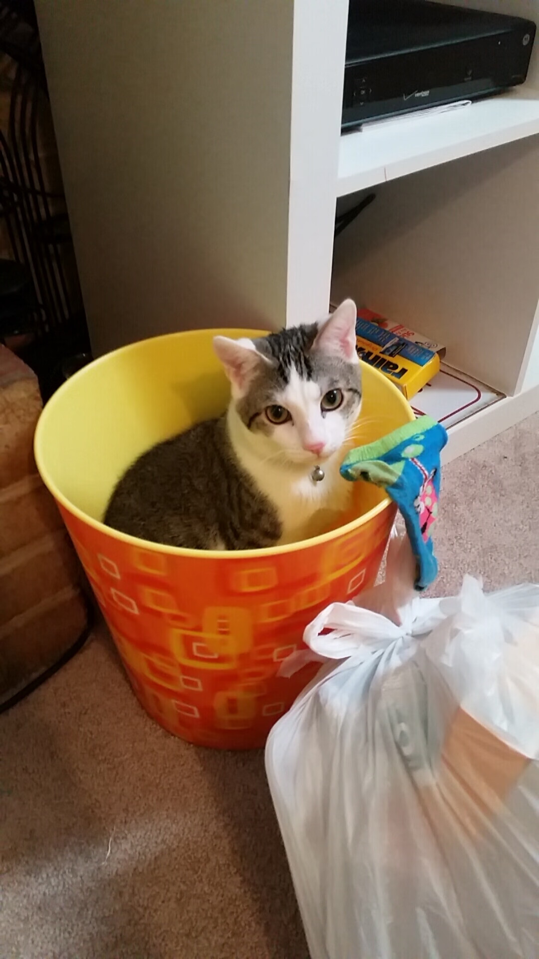 布宜诺斯艾利斯的闪电，奥运周期关键战中，阿根廷男篮用40分碾压伊朗的极速胜利论