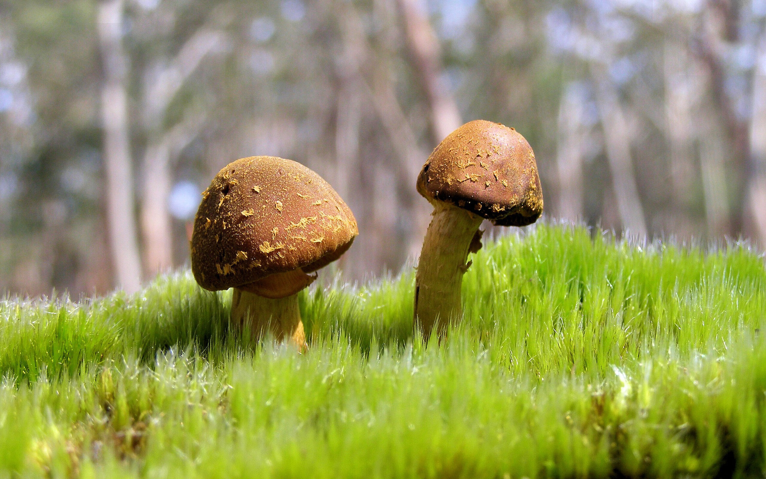 争议声中，米切尔用行动说话