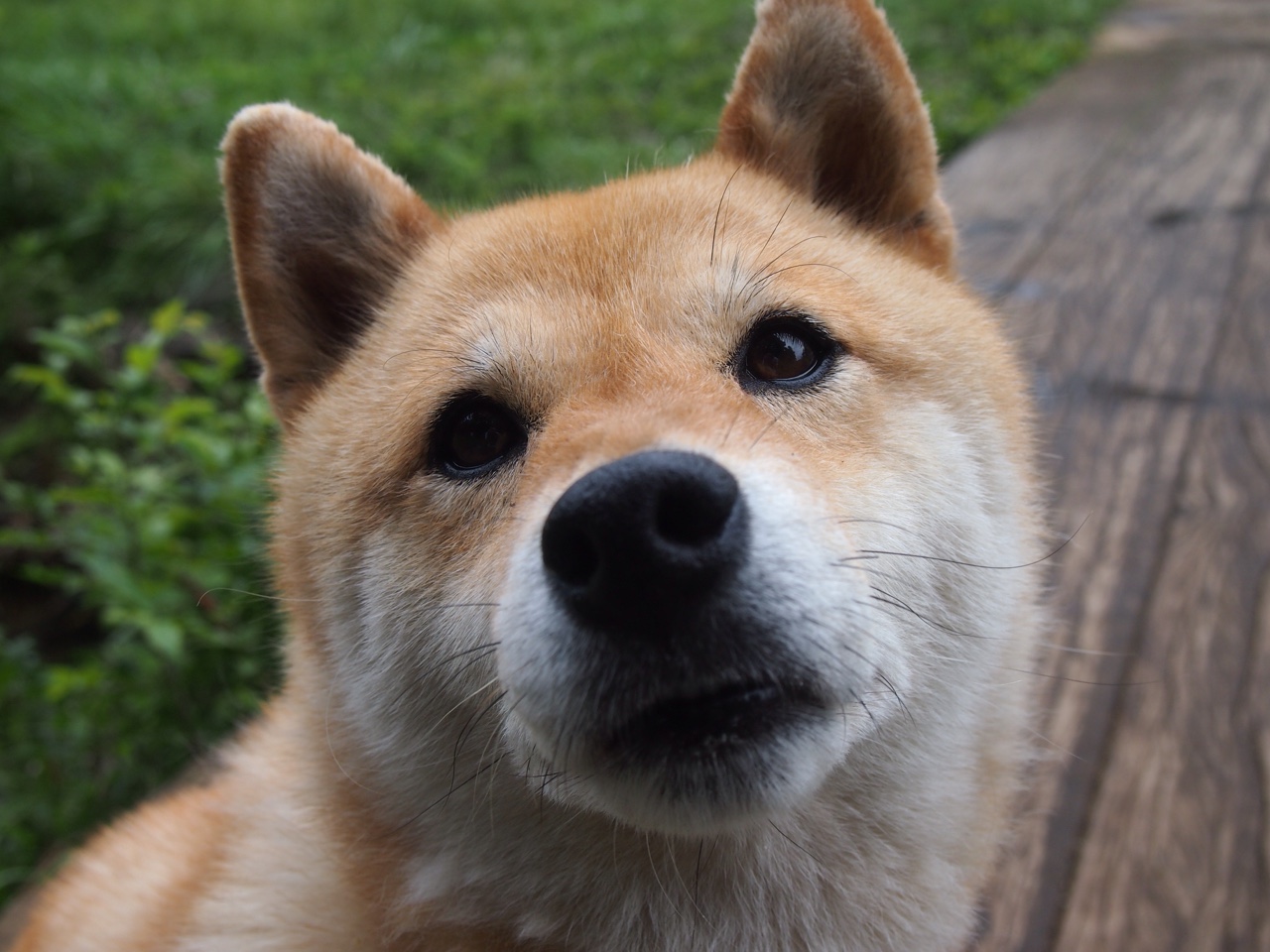 蓝色巨浪中的巴西狂澜与北欧冰川，阿克双刃剑刺穿阿森纳战术命门