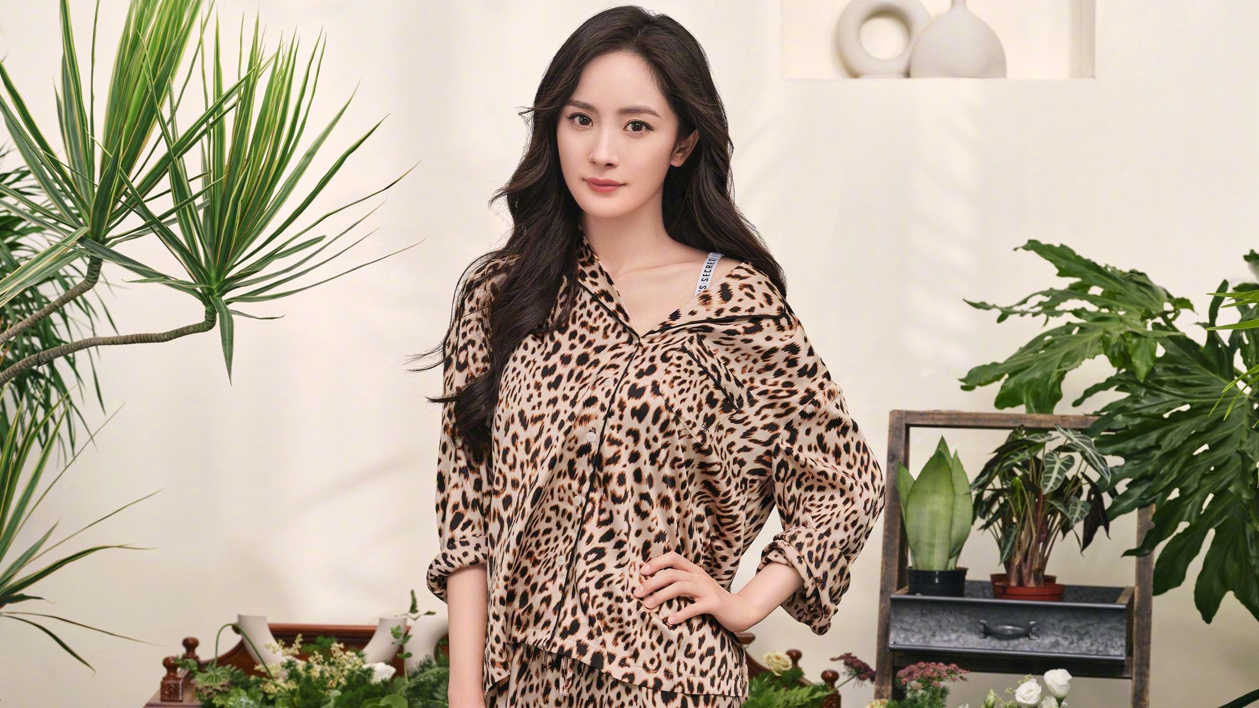 裂痕之光，本泽马三记重锤与一场王朝的黄昏序曲