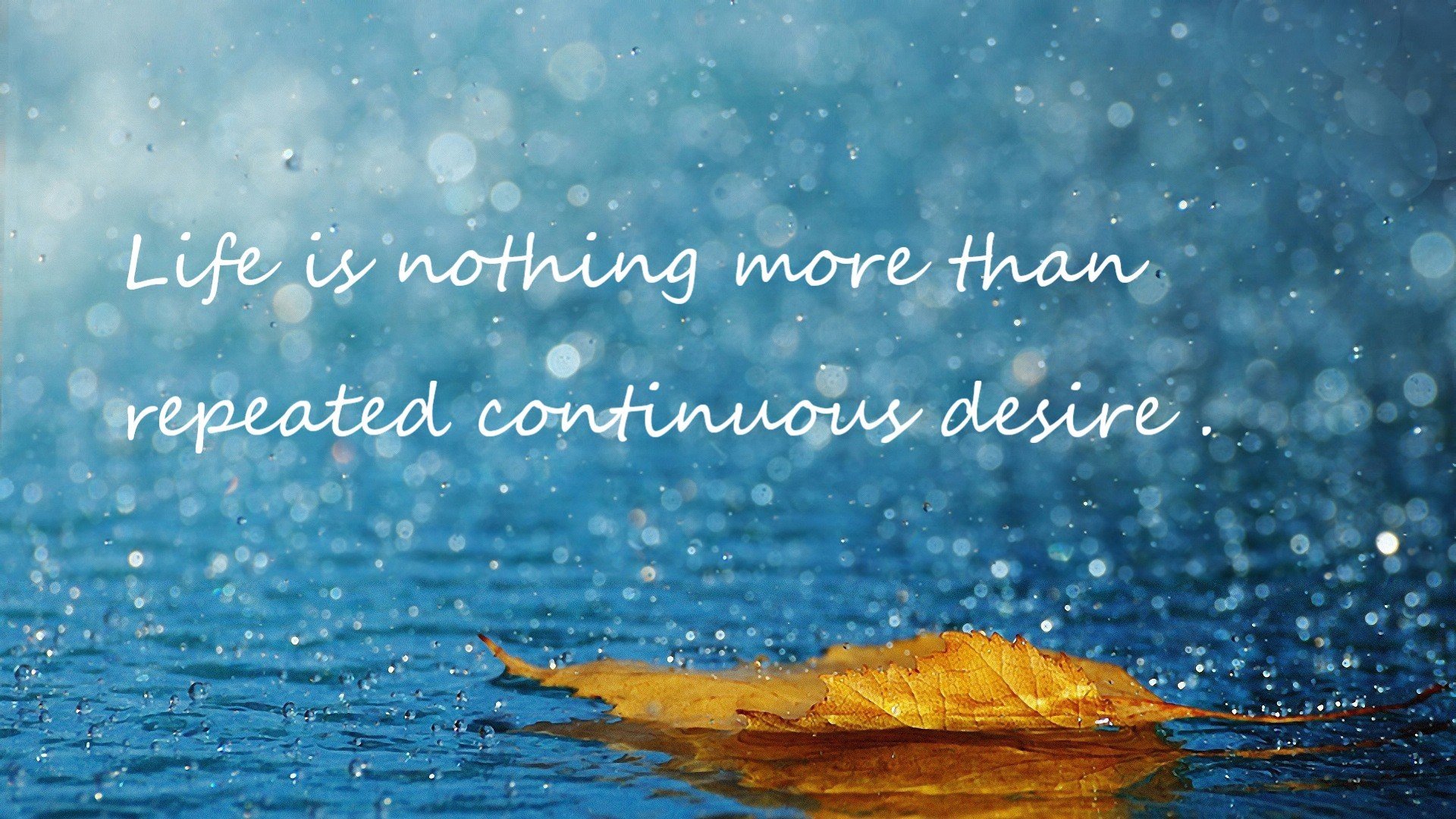 专注力，是争冠路上唯一的标尺