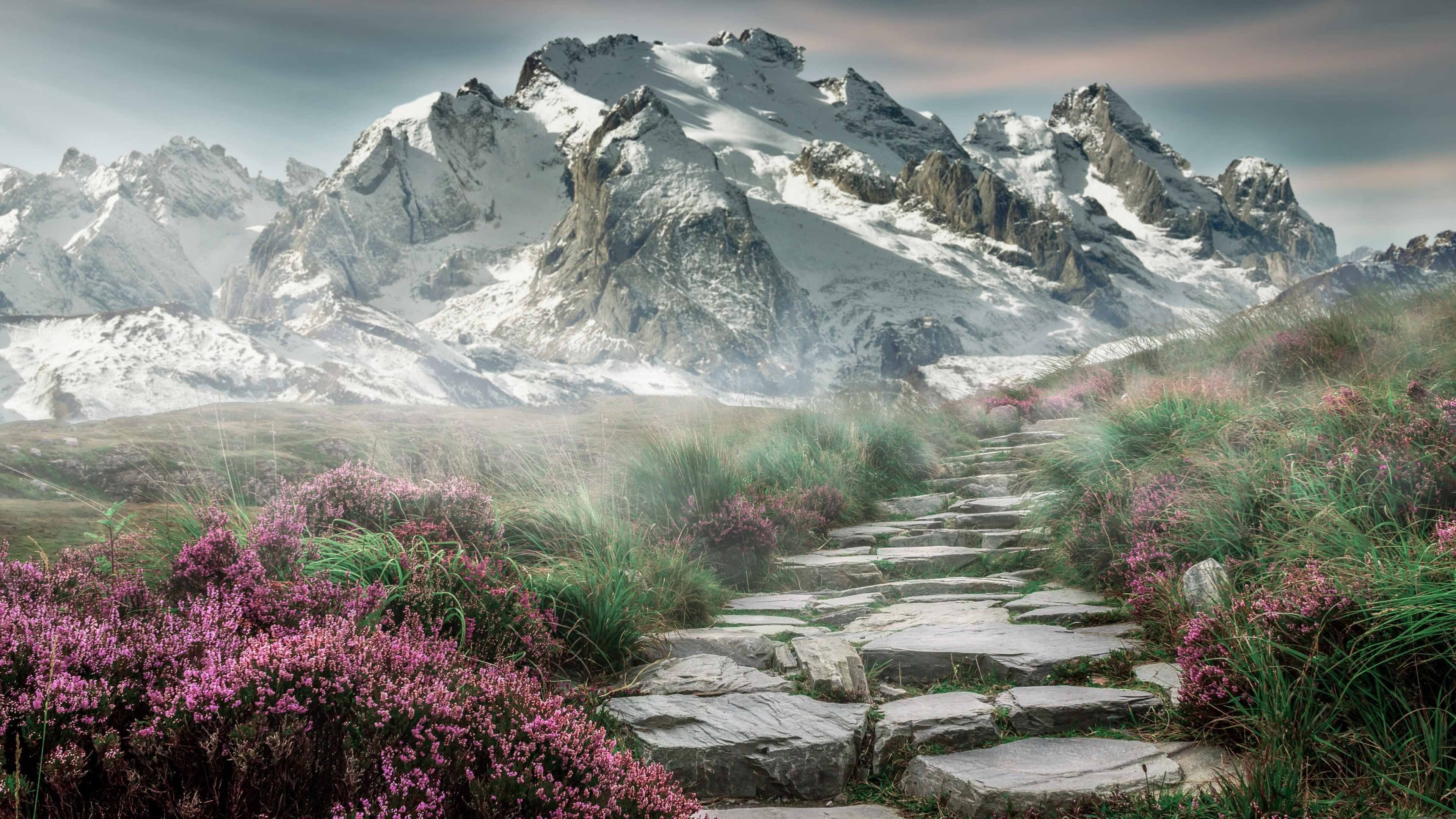 蒂亚戈的罗盘与星群