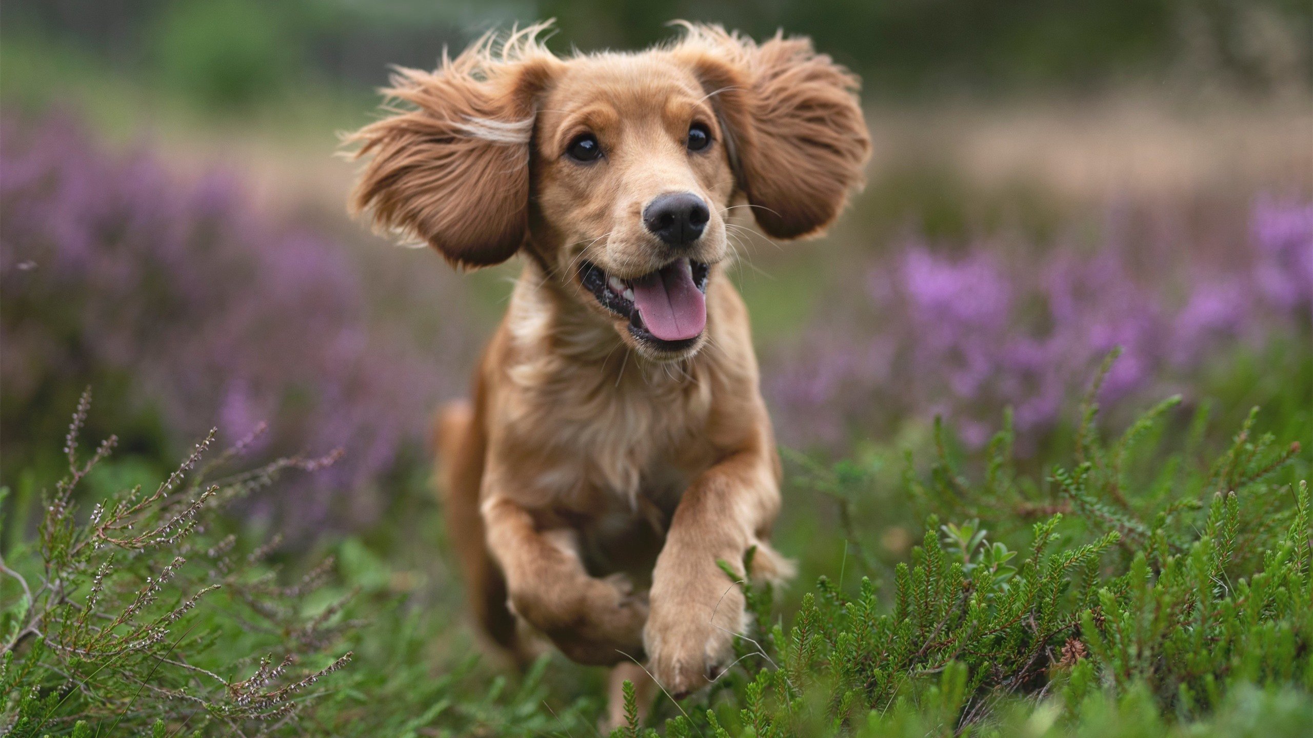 北欧风暴遭中美洲铁壁冰封！托尼独造三球导演全面压制好戏