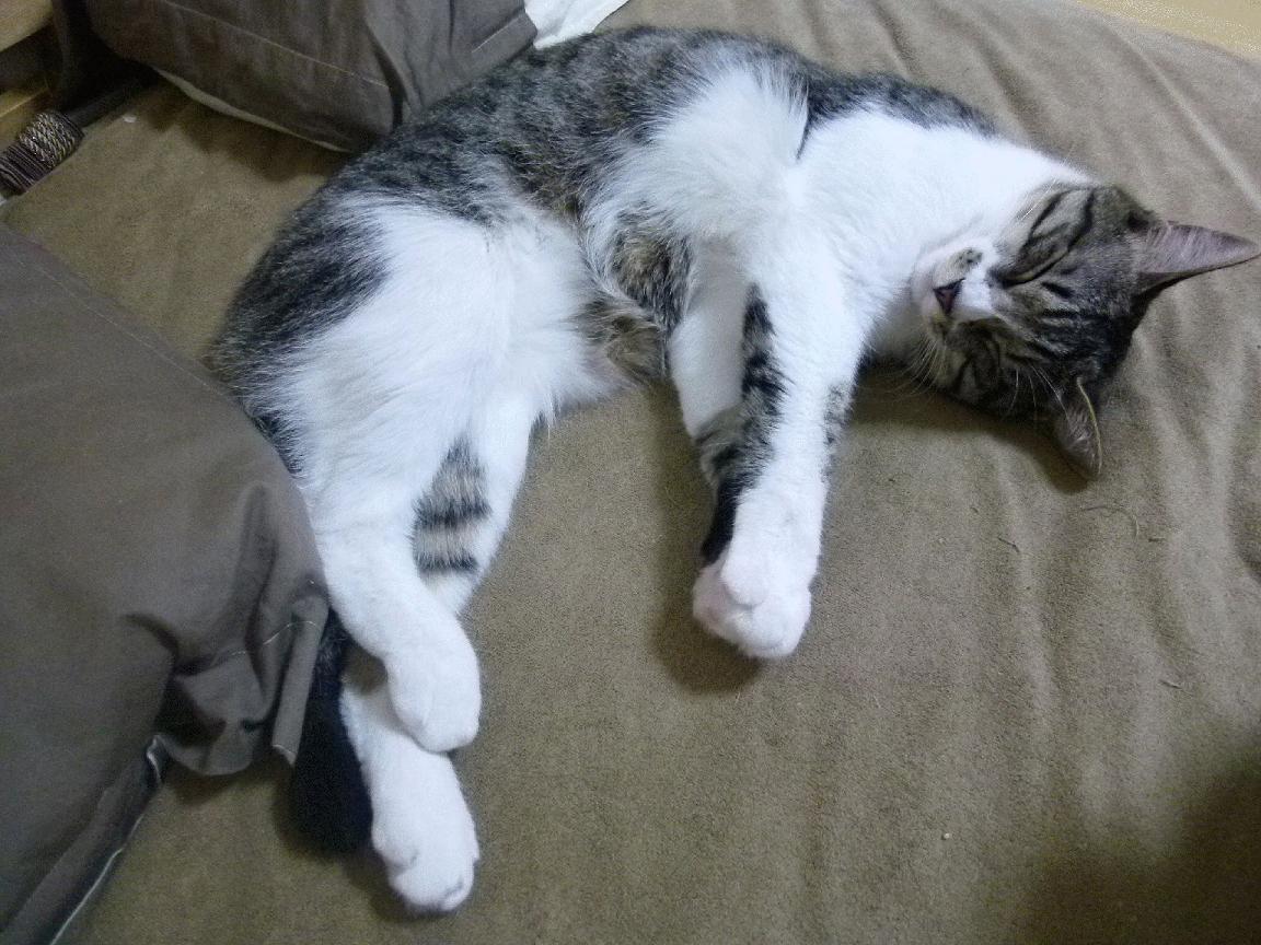 主宰时刻,当个人英雄主义在竞技场上绽放