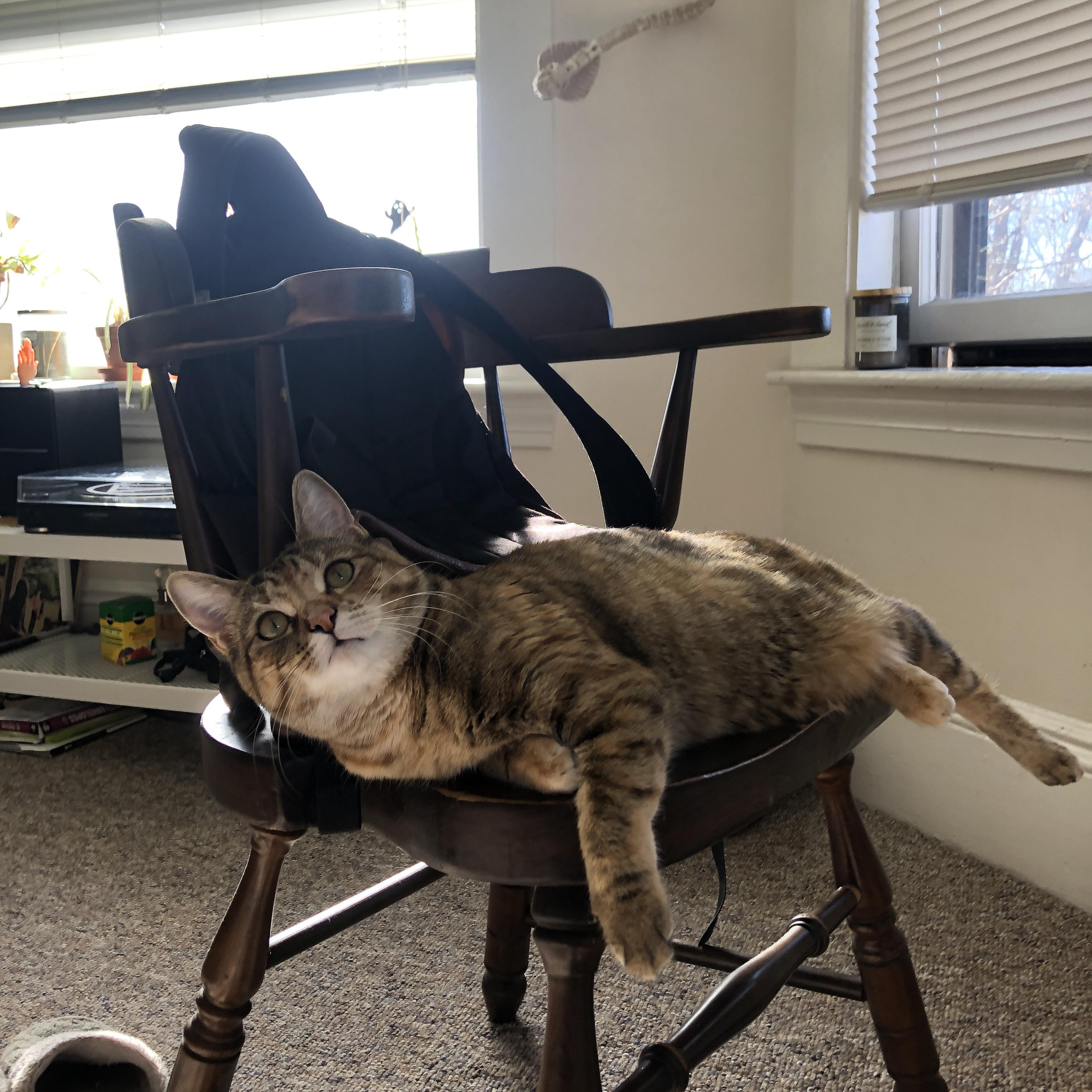 拉什福德火山爆发点燃梦剧场，威尔士红龙客场无情击溃毕拉巴鄂