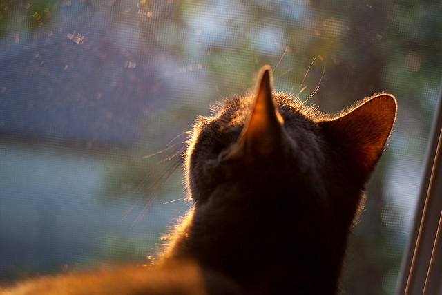 世纪碰撞,乌拉圭速胜皇马,法比尼奥在年度焦点之战接管比赛