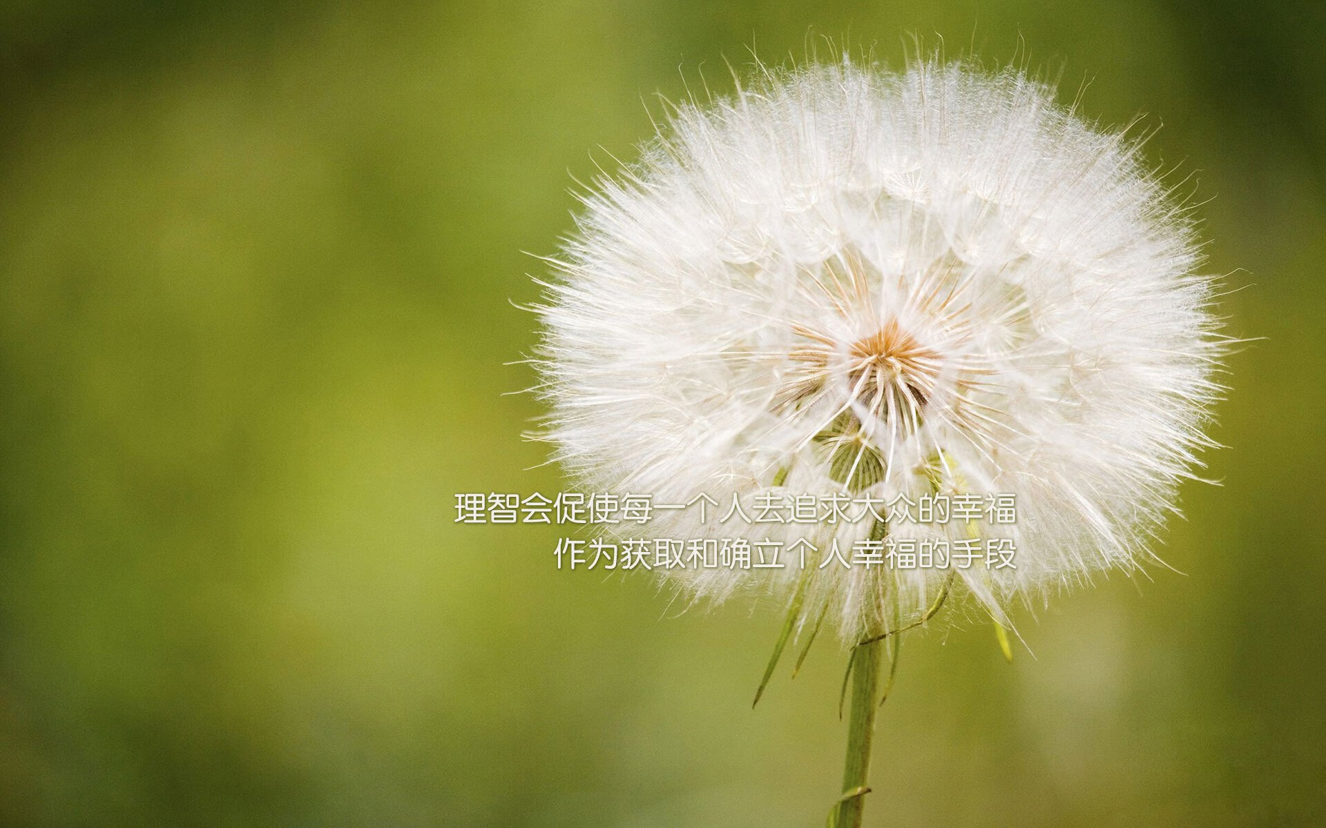 巴尔韦德魔法再现，伊拉克利刃提前终结毕尔巴鄂悬念