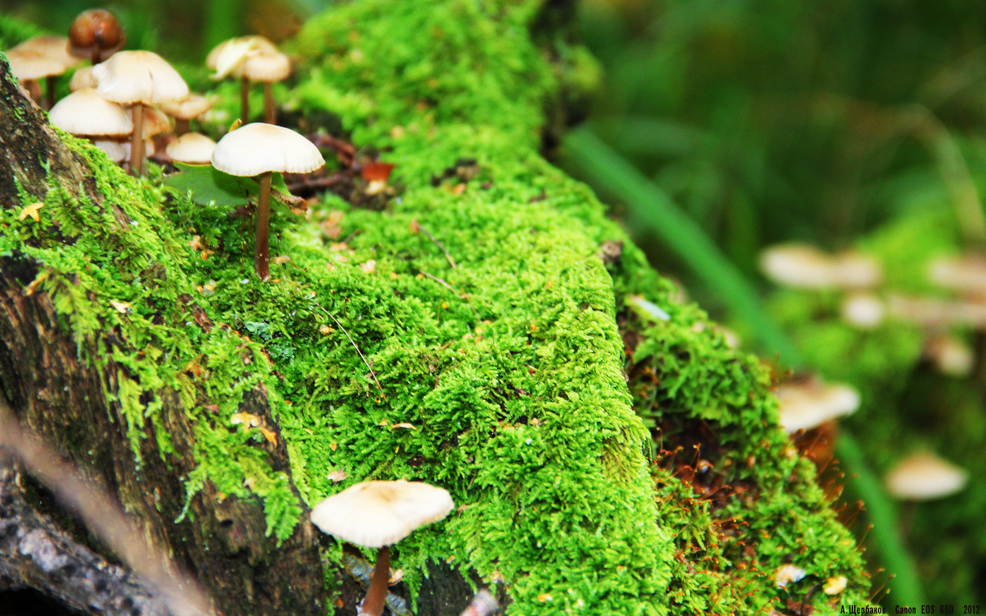 跨界之王征服街头,当杜兰特的方向盘如手术刀般精准