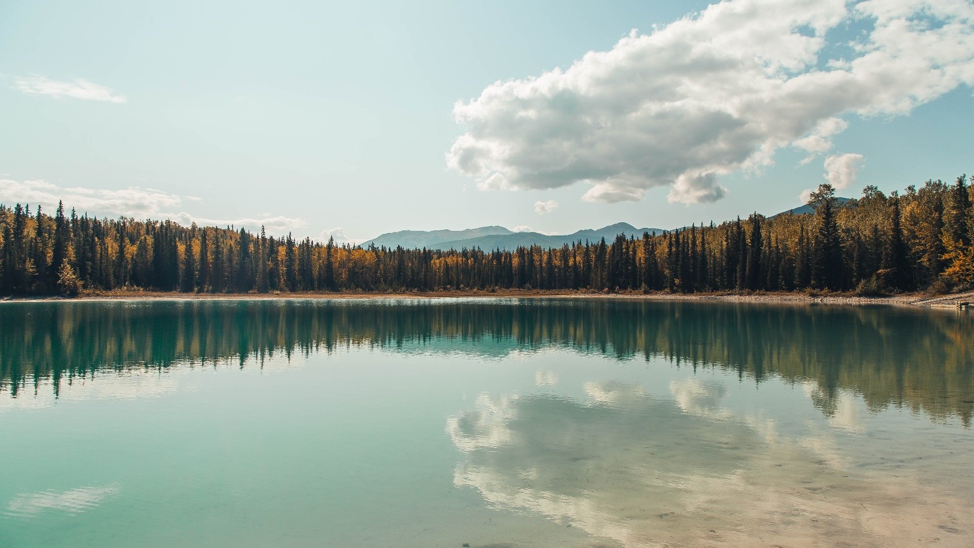 丝线掌控者，迪马利亚的魔法笔触与厄瓜多尔的节奏牢笼