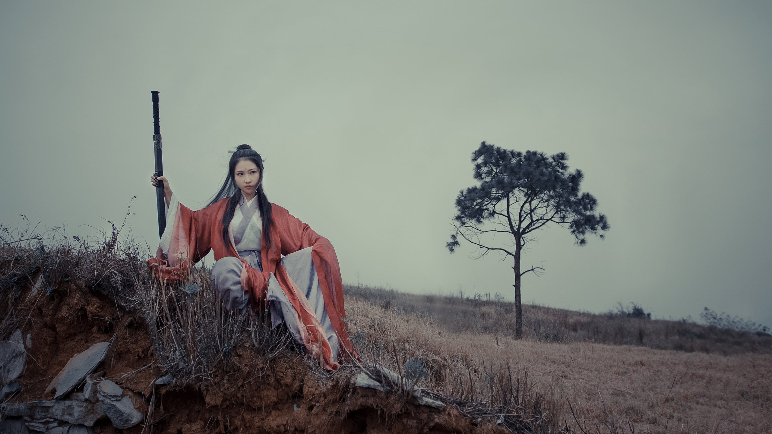 孤星破晓，哈基米的火焰如何照亮伊朗足球的世界杯之夜