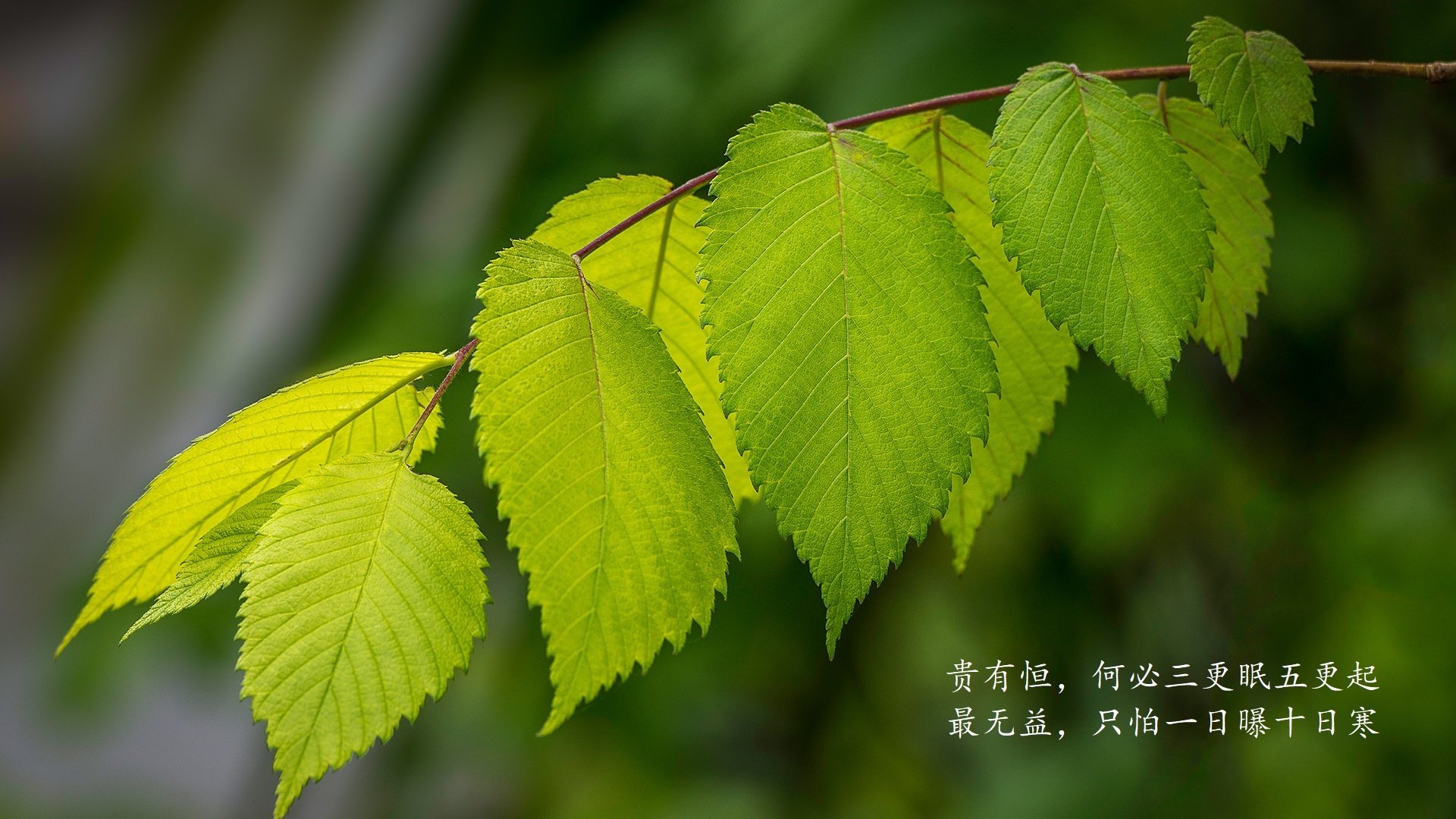 冰与火之歌,2026世界杯B组的唯一剧本,泰国默契织网,萨卡一剑封喉