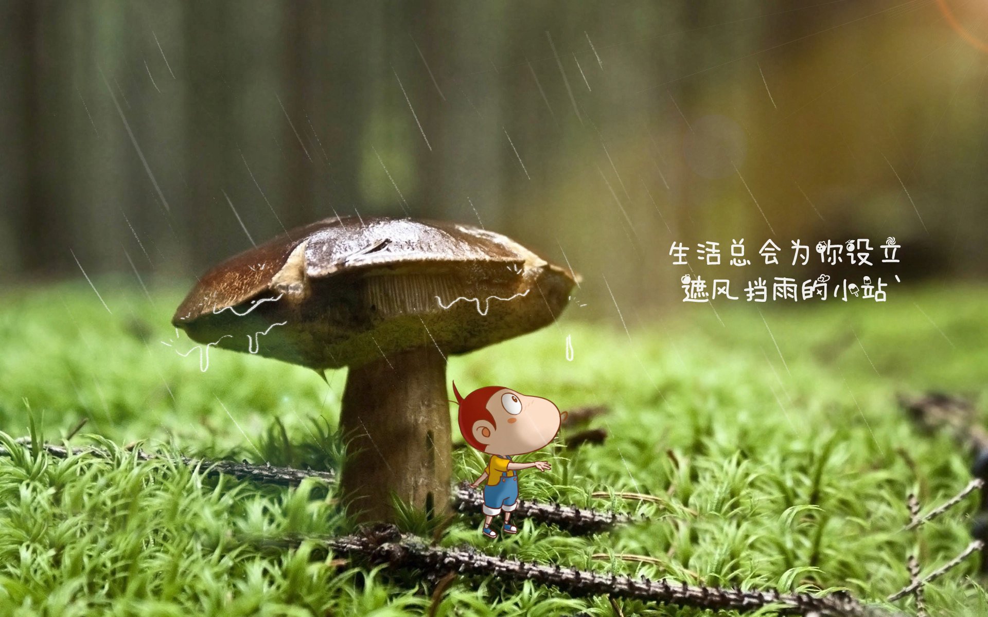 冰与火之歌，索菲亚的钢铁防线，如何点燃桑巴的逆转之魂？