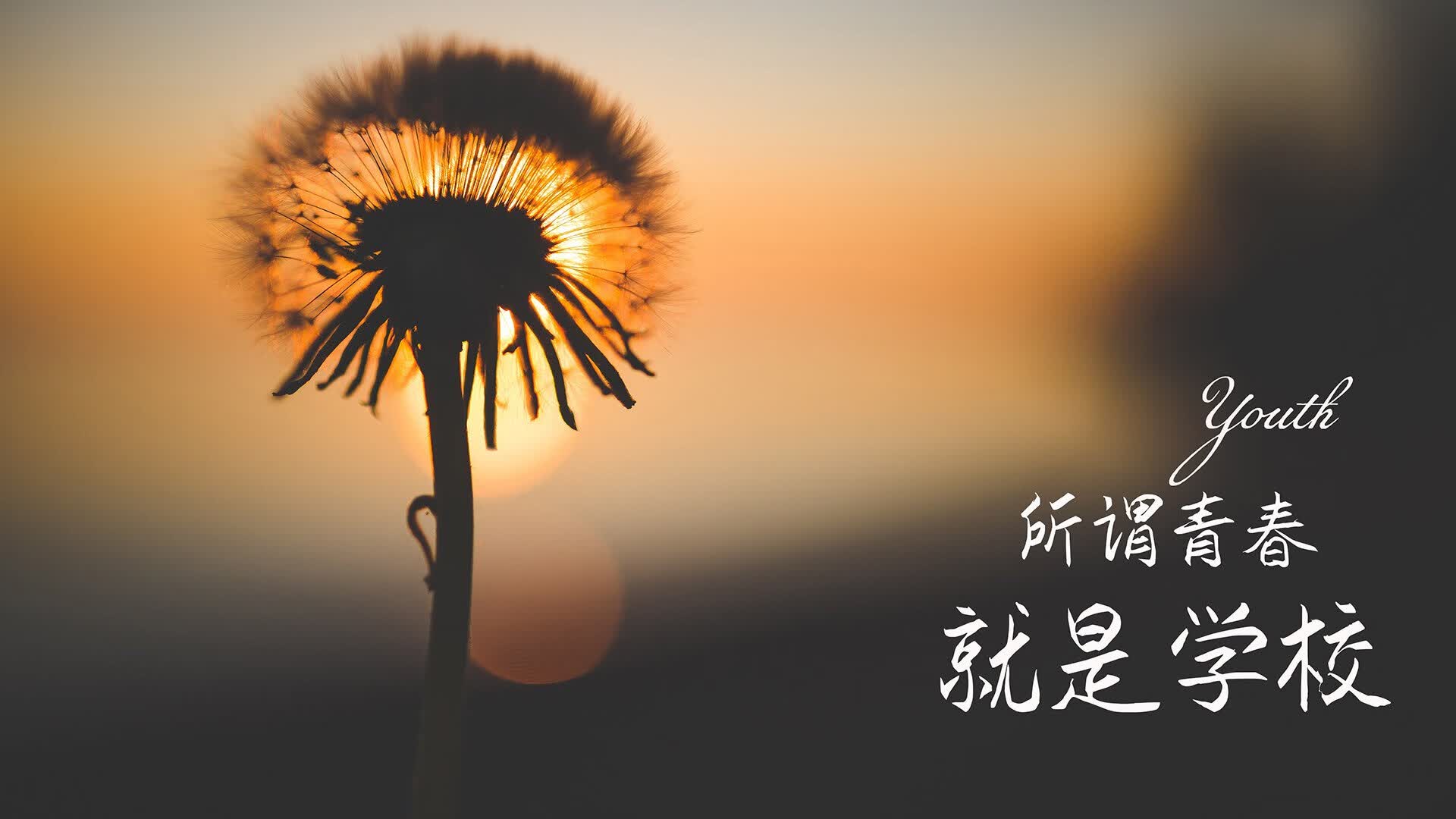 冰与火的协奏曲，当法兰西的蓝焰吞噬亚平宁的暗流—2026世界杯H组焦点战侧记
